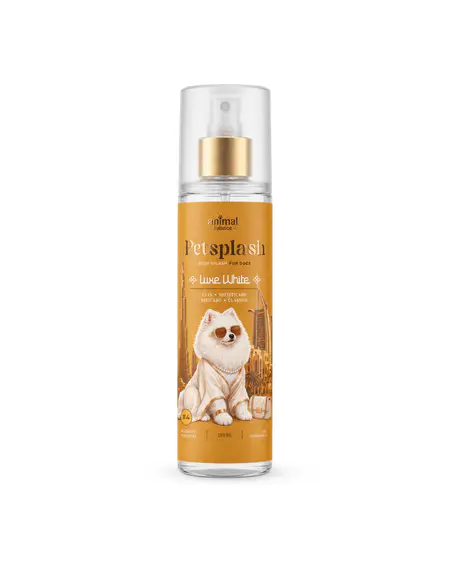 Petsplash® Luxe White